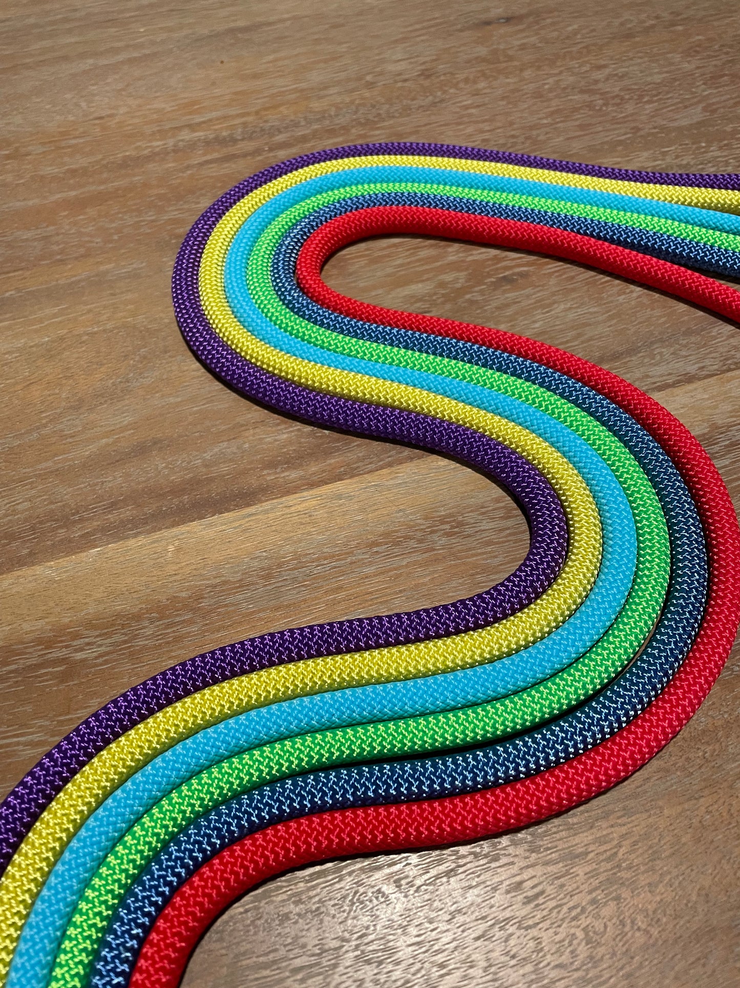 Classic Slip Leash - Summer Collection