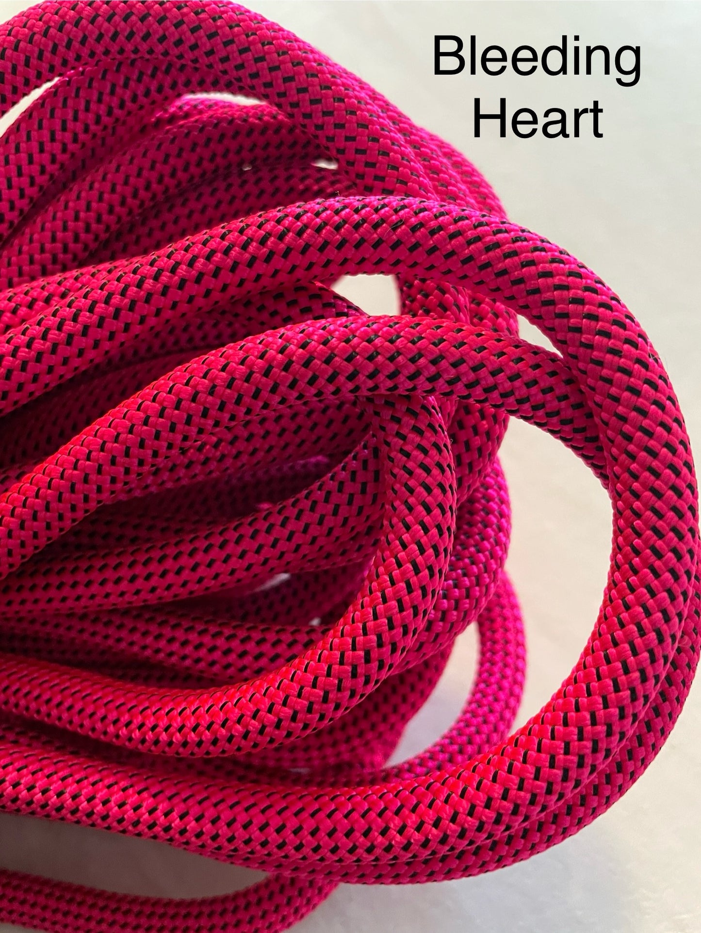 Swivel Slip Leash - Valentine's Day