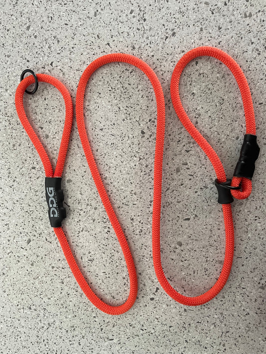 Halloween Slip Leash