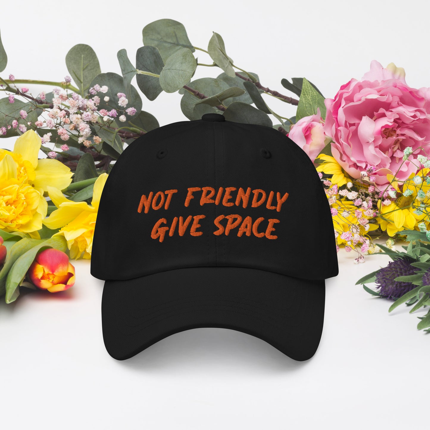 Not Friendly, Give Space Dad hat