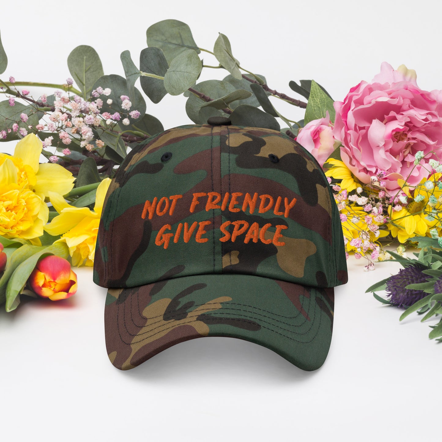 Not Friendly, Give Space Dad hat