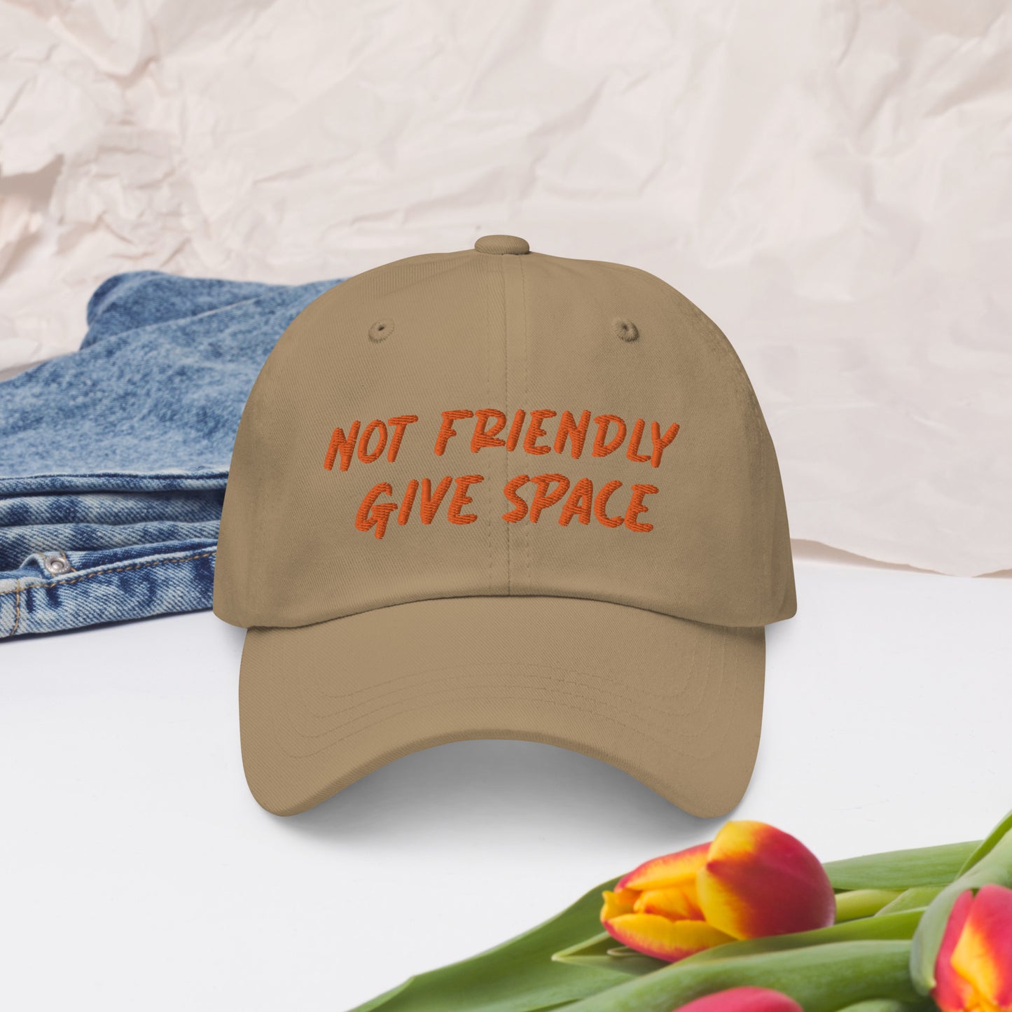 Not Friendly, Give Space Dad hat