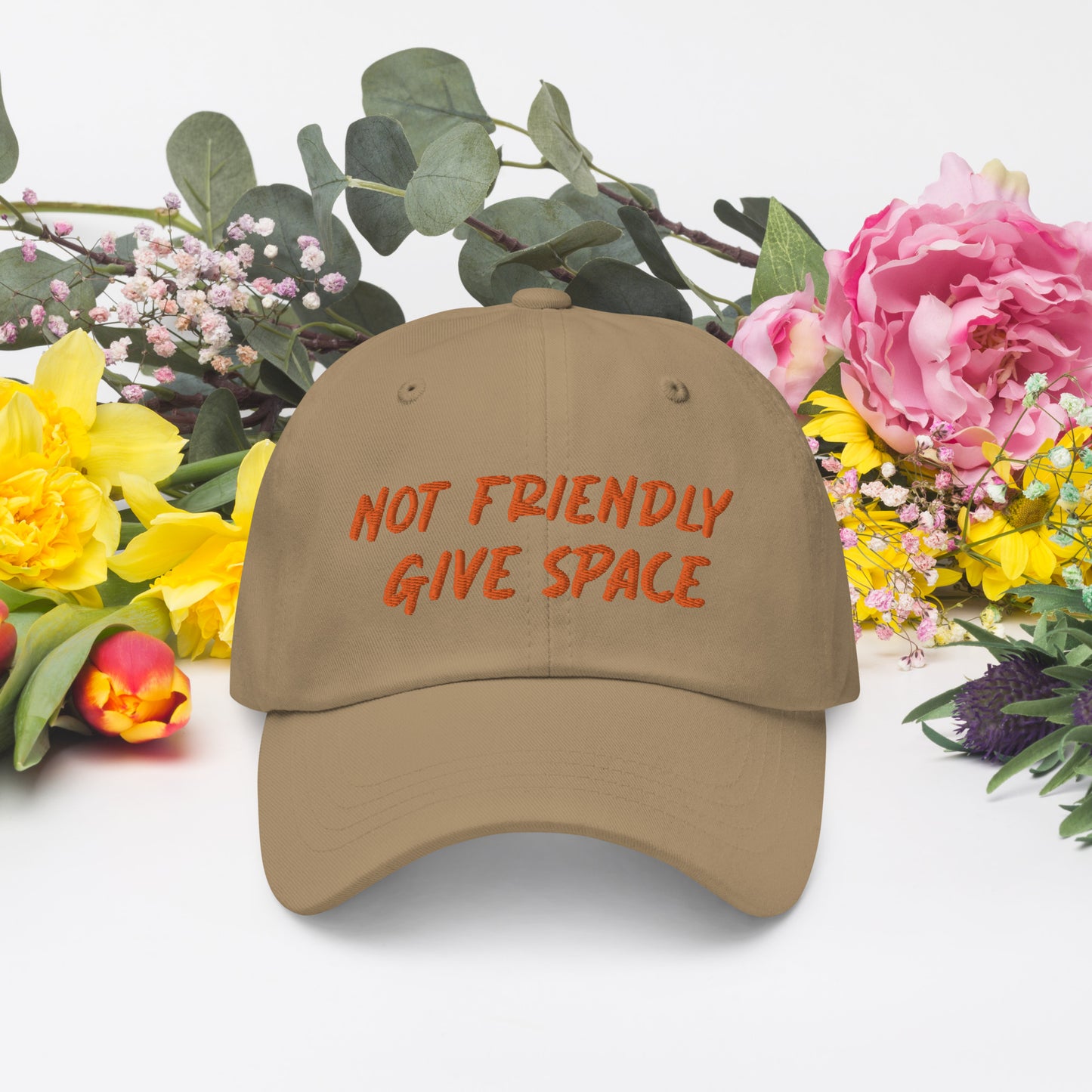 Not Friendly, Give Space Dad hat