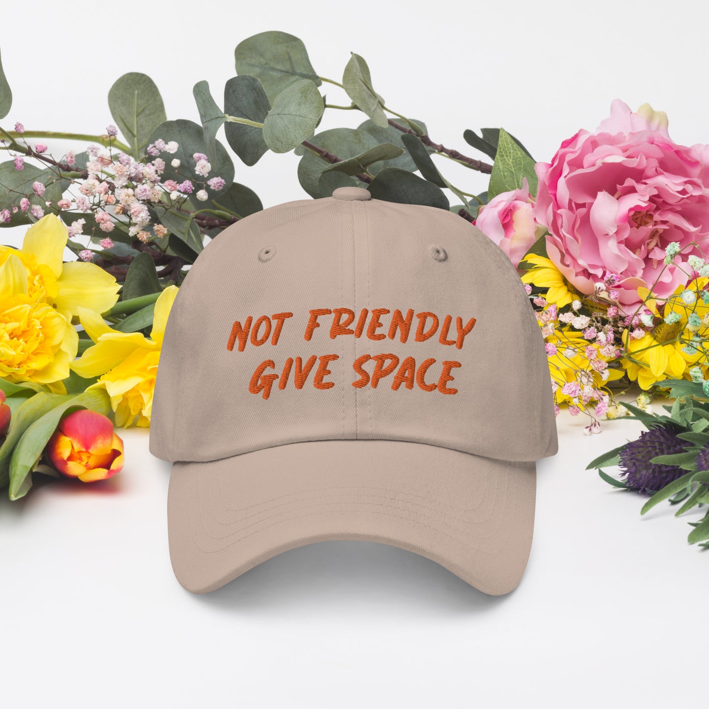 Not Friendly, Give Space Dad hat