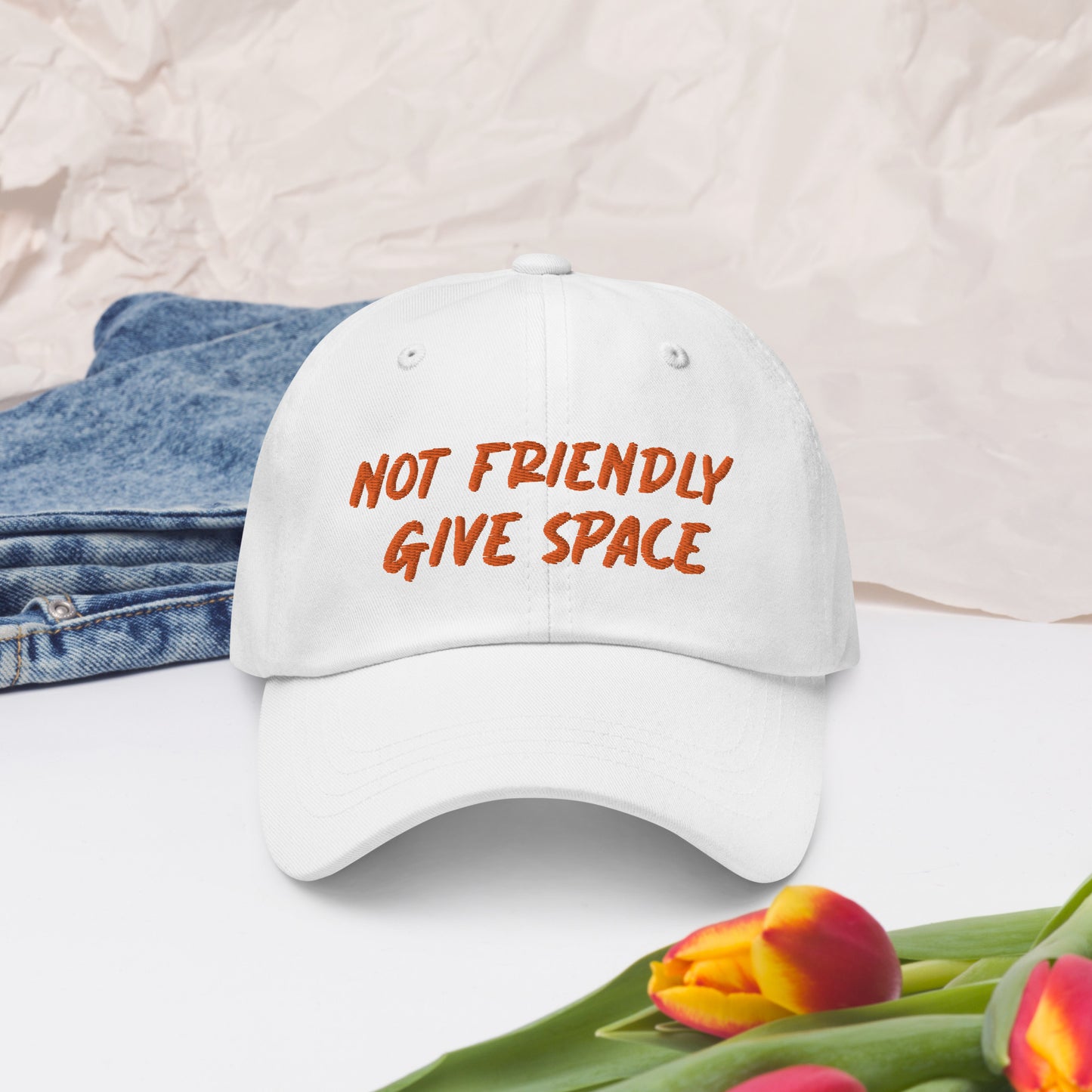 Not Friendly, Give Space Dad hat