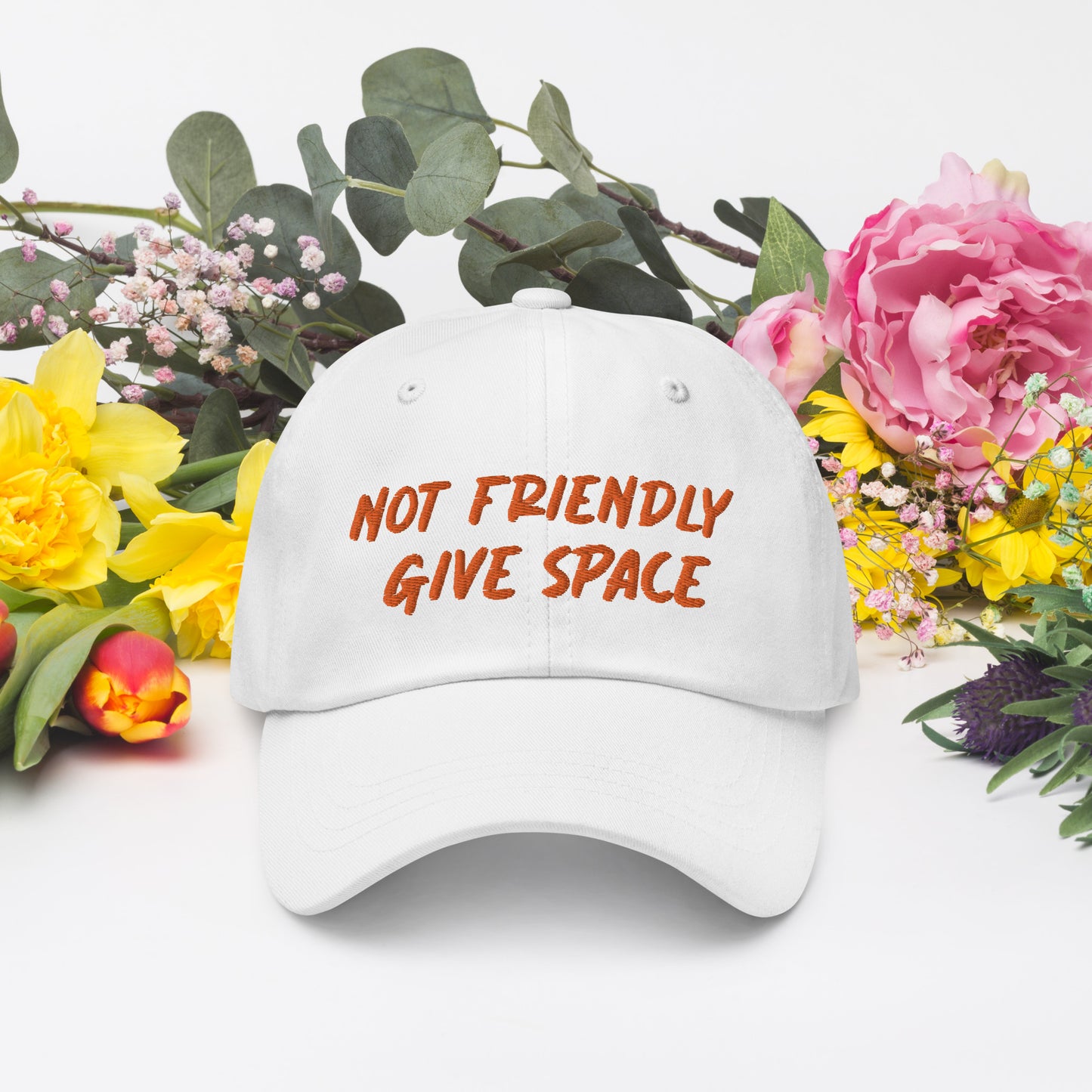 Not Friendly, Give Space Dad hat