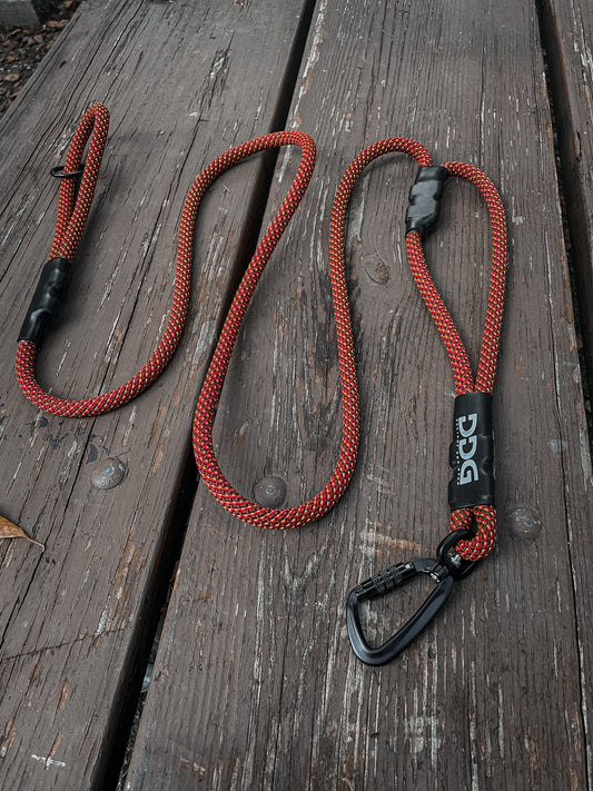 Leash With Traffic Handle (Patterns)